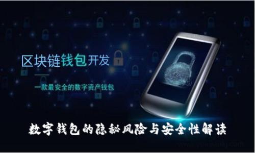 数字钱包的隐秘风险与安全性解读